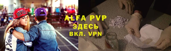 молекула духа Козельск