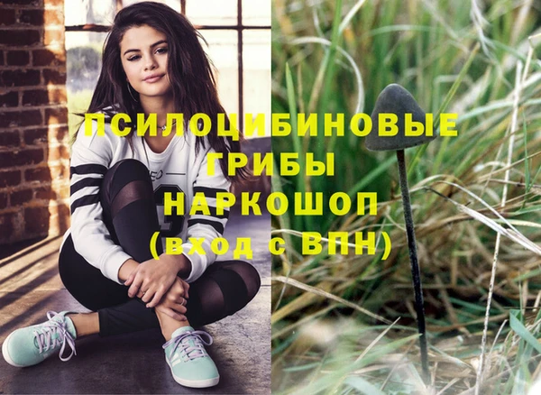 apvp Киренск