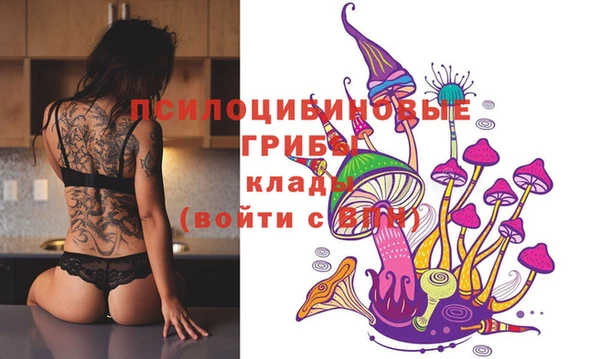 мдма Киреевск