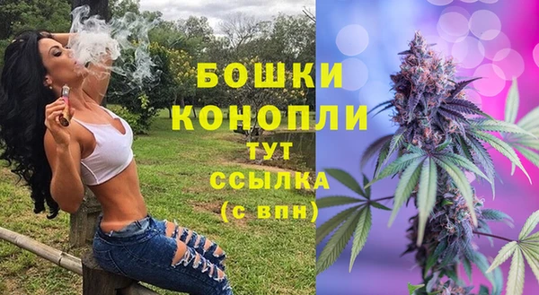 молекула духа Козельск