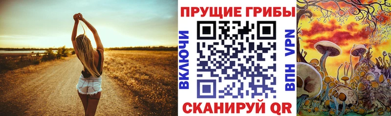 Купить где Новоалтайск Галлюциногенные грибы GOLDEN TEACHER